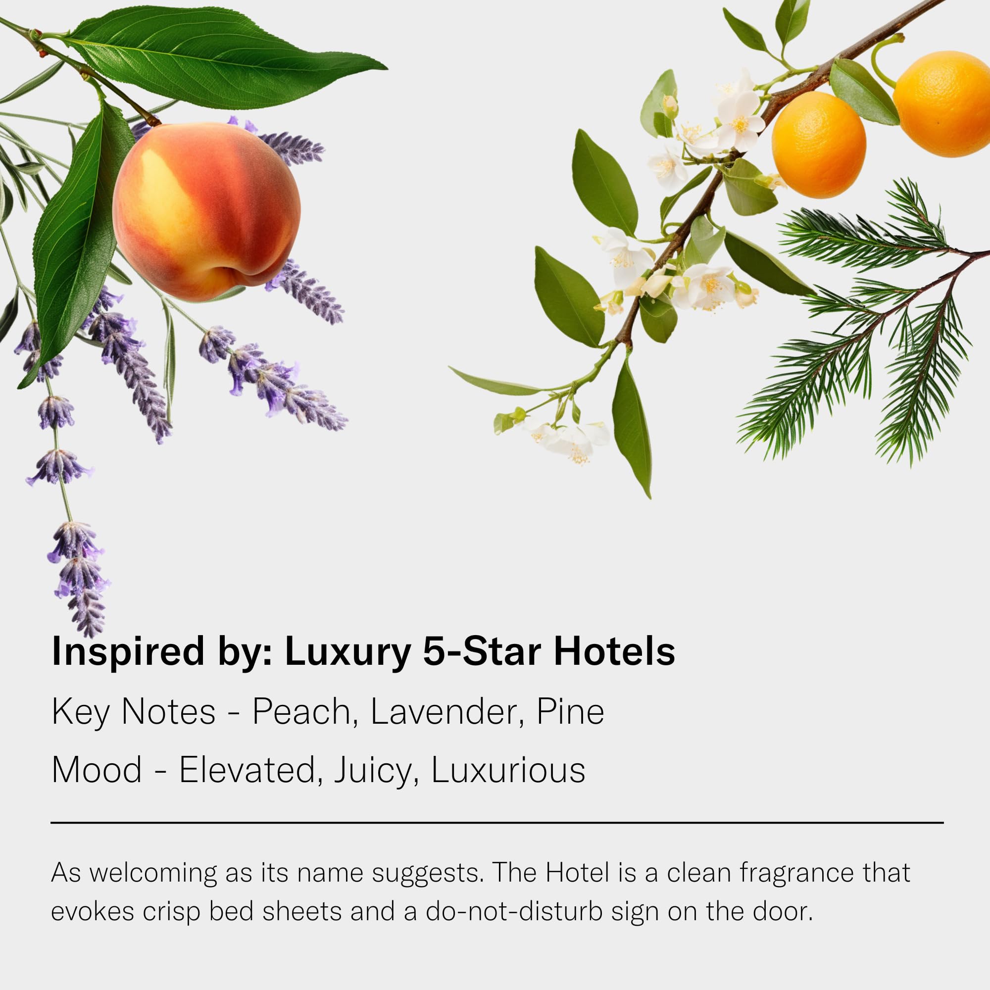 AromaTech Hôtel note lavande-citron, apaisement et clarité.
