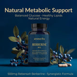 AROMAVITA Berberine HCL Rebersa – étui transparent montrant la praticité des capsules.