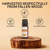 ArOmis huile Palo Santo sans solvant – distillation naturelle sans additifs.