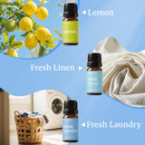 AROMTOPIA Diffuseur frais lavage quotidien pour une pièce fraîche.