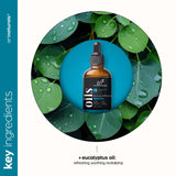 ArtNaturals Eucalyptus beauté DIY recettes — ingrédient polyvalent pour soins maison.