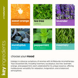 ArtNaturals Eucalyptus – flacon 10 ml pour une respiration fraîche et revitalisante.