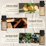 ARVIDSSON Citrus Mint, bouteille vive pour revitaliser l'espace et l'humeur.