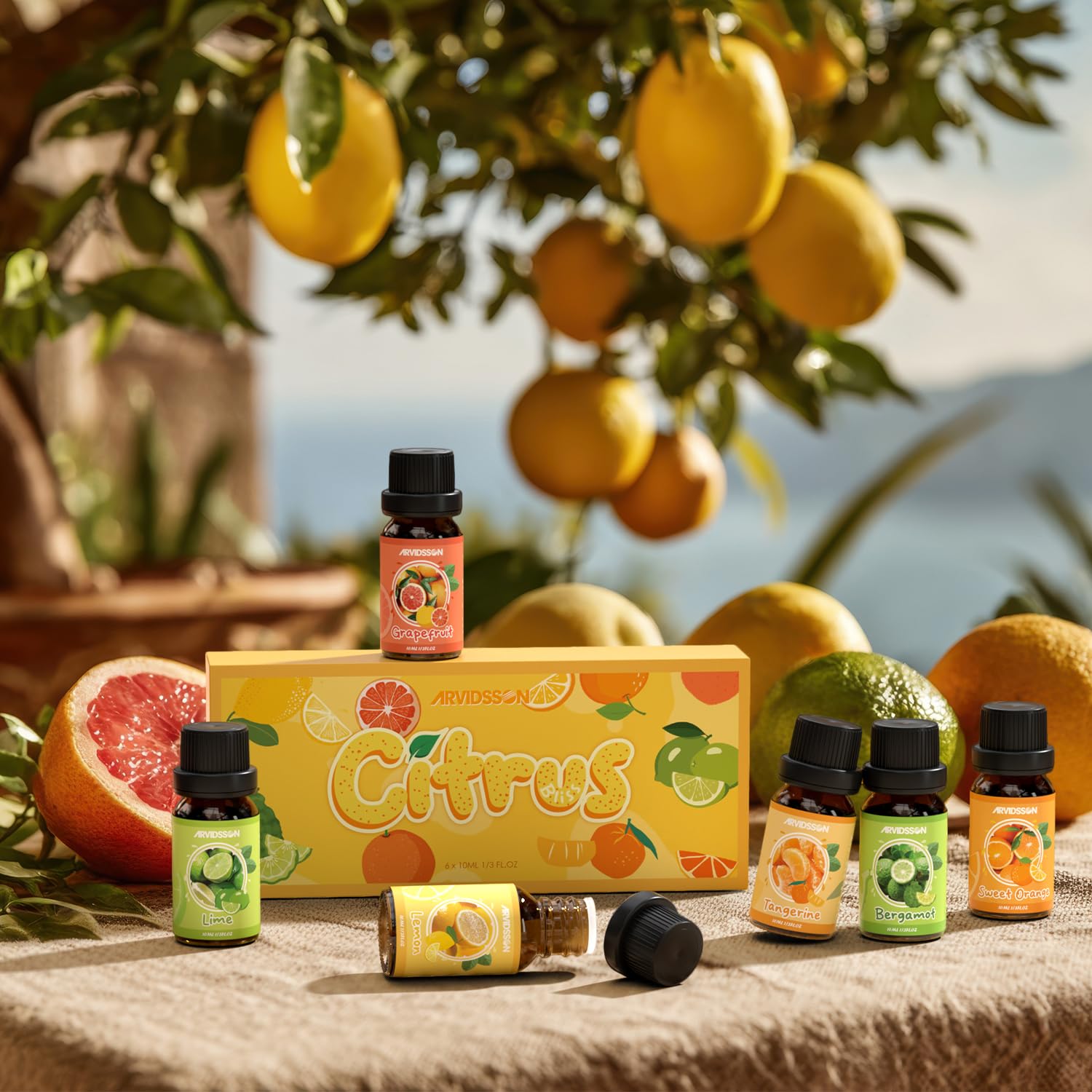 ARVIDSSON ensemble agrumes bergamote: parfum lumineux pour le diffuseur.