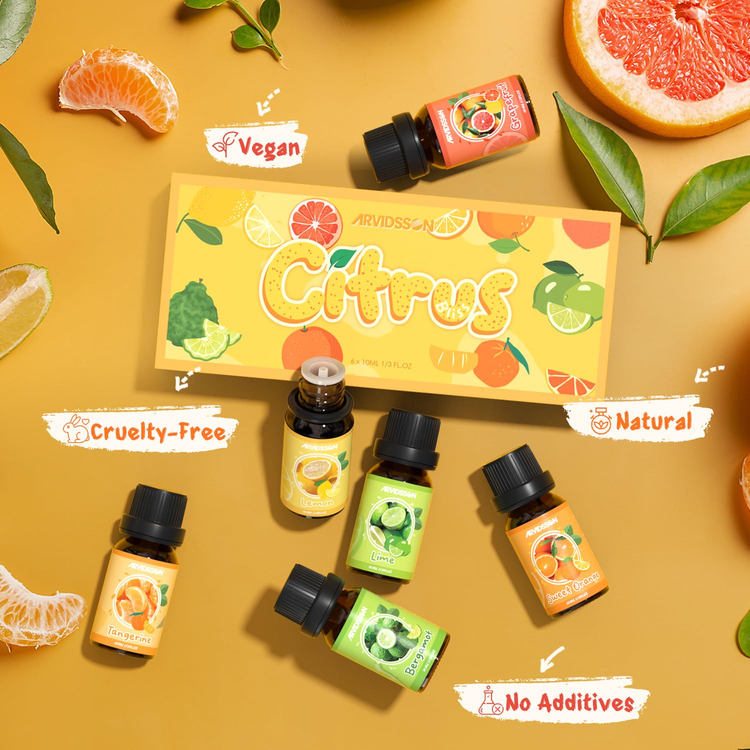 ARVIDSSON ensemble agrumes citron vert: sensation fraîche pour l'ambiance.