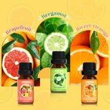 ARVIDSSON ensemble agrumes orange doux: énergie aromatique idéale au réveil.
