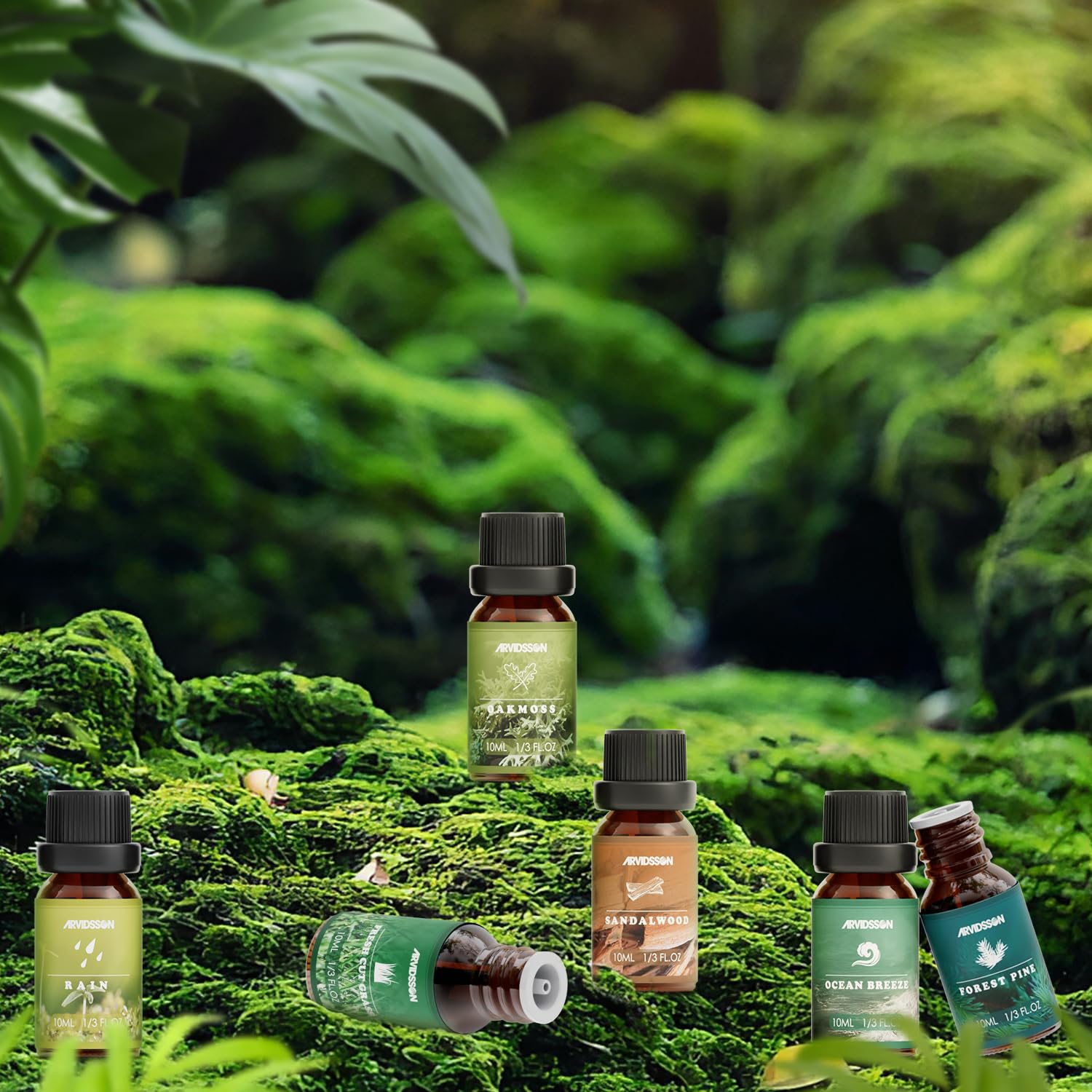 ARVIDSSON Coffret Cadeau Nature – emballage élégant prêt à offrir.