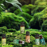 ARVIDSSON Coffret Cadeau Nature – emballage élégant prêt à offrir.