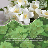 ARVIDSSON huile jasmin: brume interieure parfumee pour espaces accueillants.