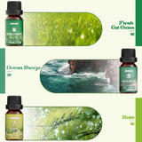 ARVIDSSON Nature – Brise Oceanique, senteur rafraichissante pour diffuseurs et cosmétiques.