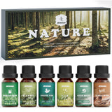 ARVIDSSON Nature – Herbe Fraiche Coupee, parfum durable pour bougies et diffuseurs.