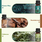 ARVIDSSON Nature – Pluie, senteur douce idéale pour textiles et parfums maison.
