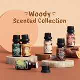 ARVIDSSON Woody Set Cuir – diffusion masculine et parfum neutre en diffusion