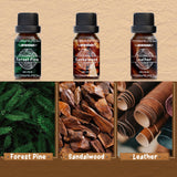 ARVIDSSON Woody Set Teck – création de bougies parfumées et notes boisées