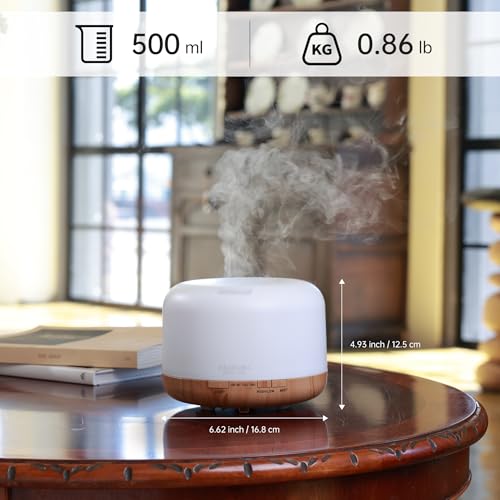 ASAKUKI Diffuseur: coffret cadeau élégant et sans BPA pour toute la famille.