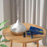 ASAKUKI Utilisation diffuseur-humidificateur pour diffuser et rafraîchir l'air.