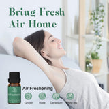 ASAKUKI Fraîcheur d'Air, diffusion claire pour un intérieur frais.