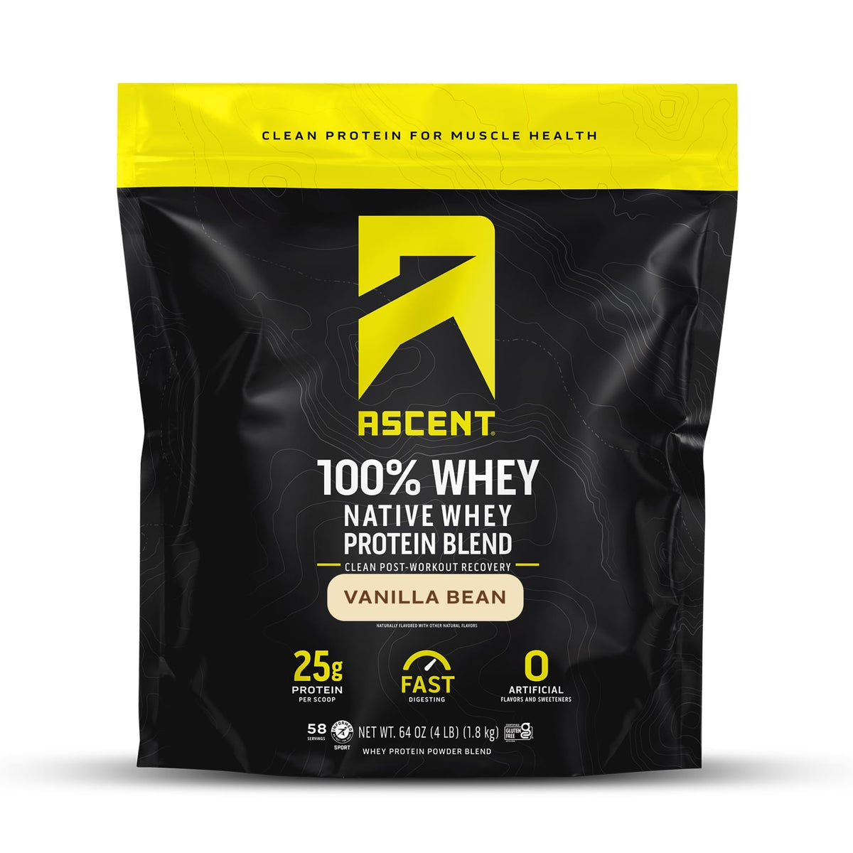 Ascent Whey Native poudre mesurée dans une cuillère pour un apport protéique quotidien.