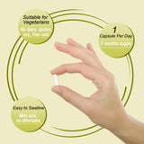 Ascuoli Probiotiques: soutien potentiel digestif et immunitaire au quotidien.