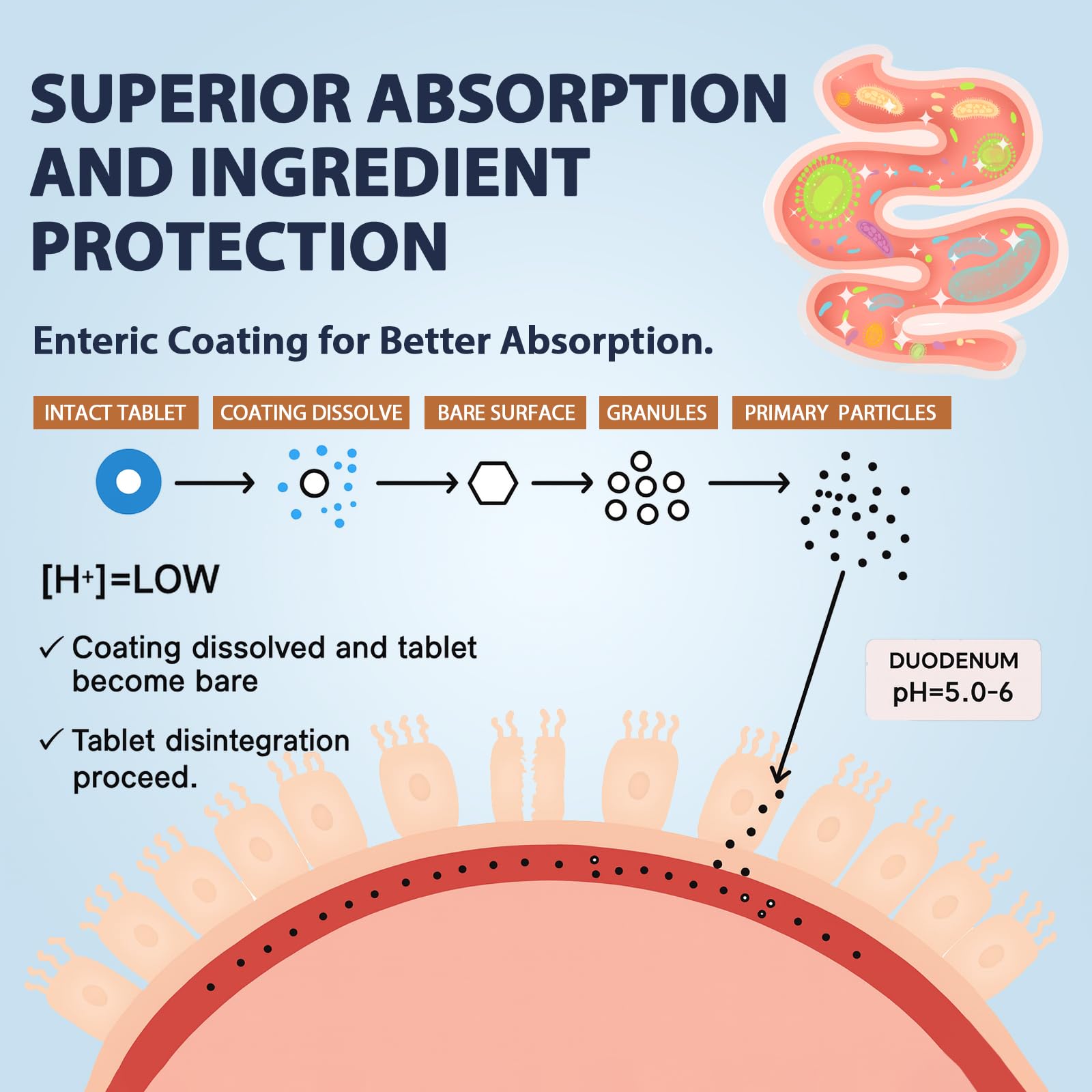 Atherionyxora Spike Detox, emballage – libération entérique ciblée et dose stable.