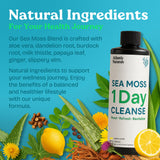 Atlantic Naturals bouteille portable, facile à emporter pour detox en déplacement.