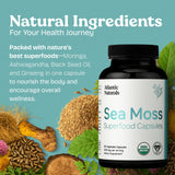Capsules Atlantic Naturals fond neutre: routine rapide et fiable.