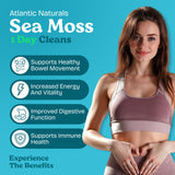 Atlantic Naturals detox algues-marines, boisson revitalisante pour le bien-être intestinal.