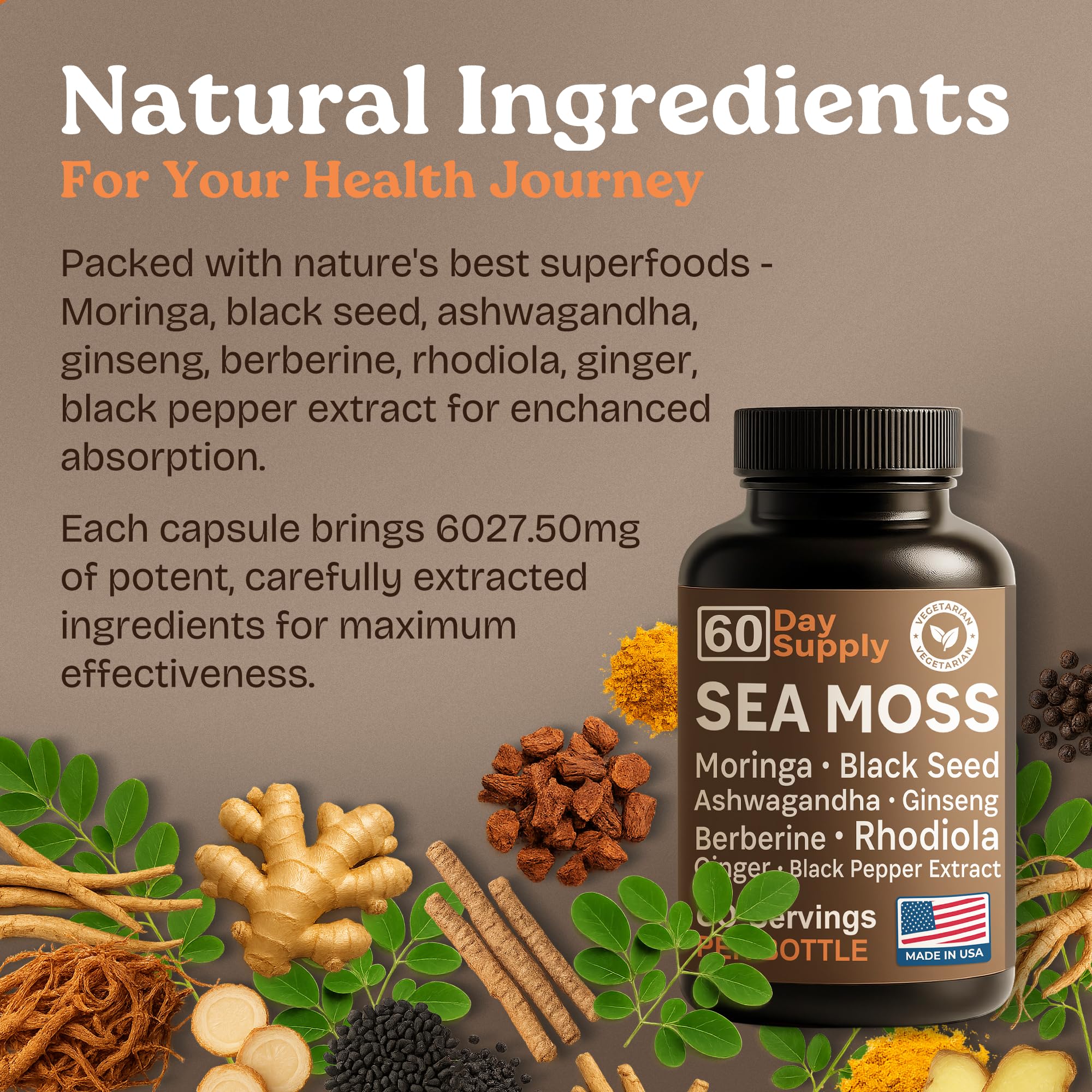 Atlantic Naturals gingembre, capsule facile à avaler, digestion soutenue.