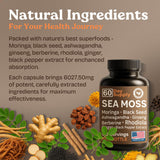 Atlantic Naturals gingembre, capsule facile à avaler, digestion soutenue.