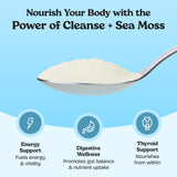 Atlantic Naturals psyllium, ingrédient clé dans la formule du mélange.
