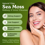 Atlantic Naturals - Racine de pissenlit pour accompagner votre routine detox.