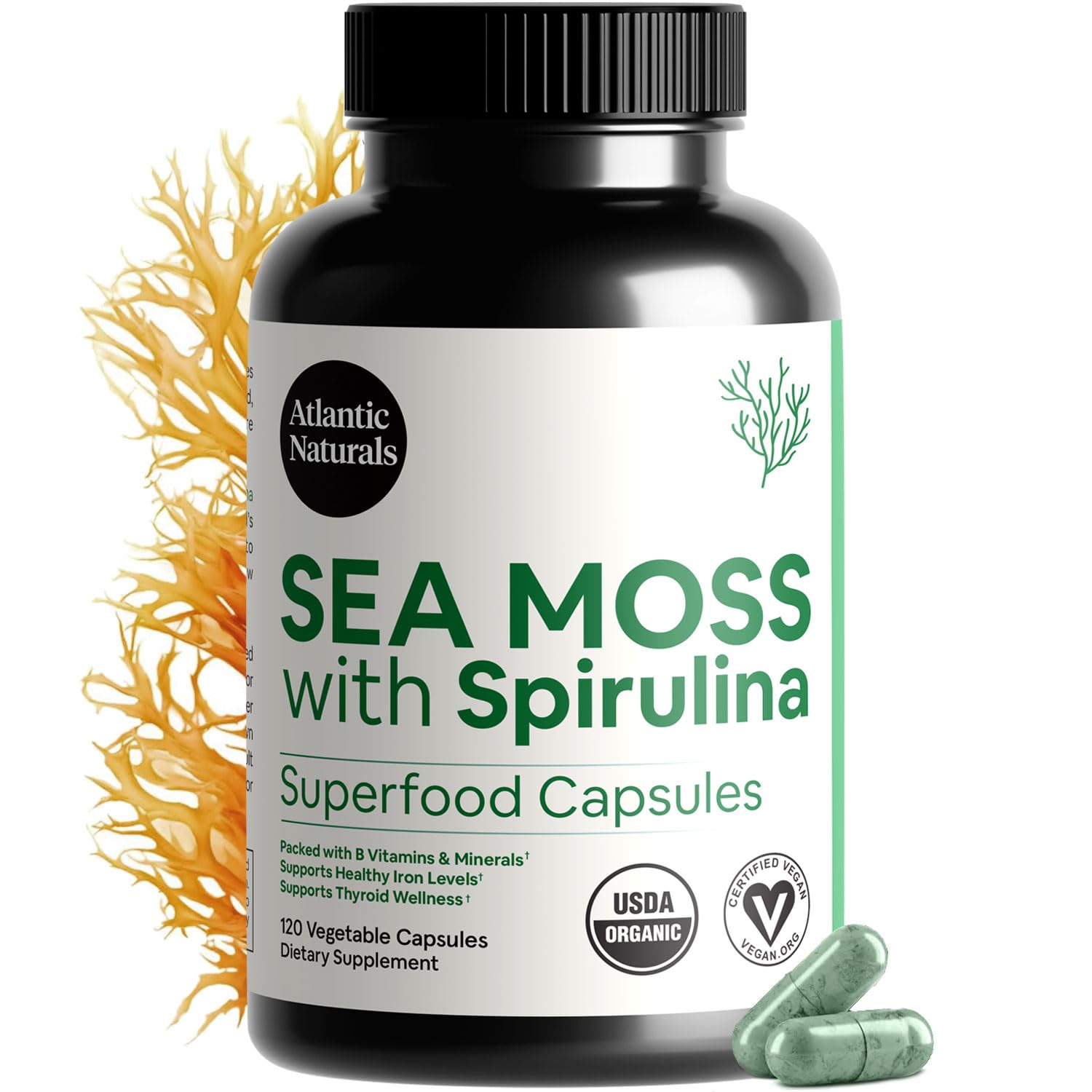 Capsules Atlantic Naturals Sea Moss Spiruline dans une boîte, pratique au quotidien