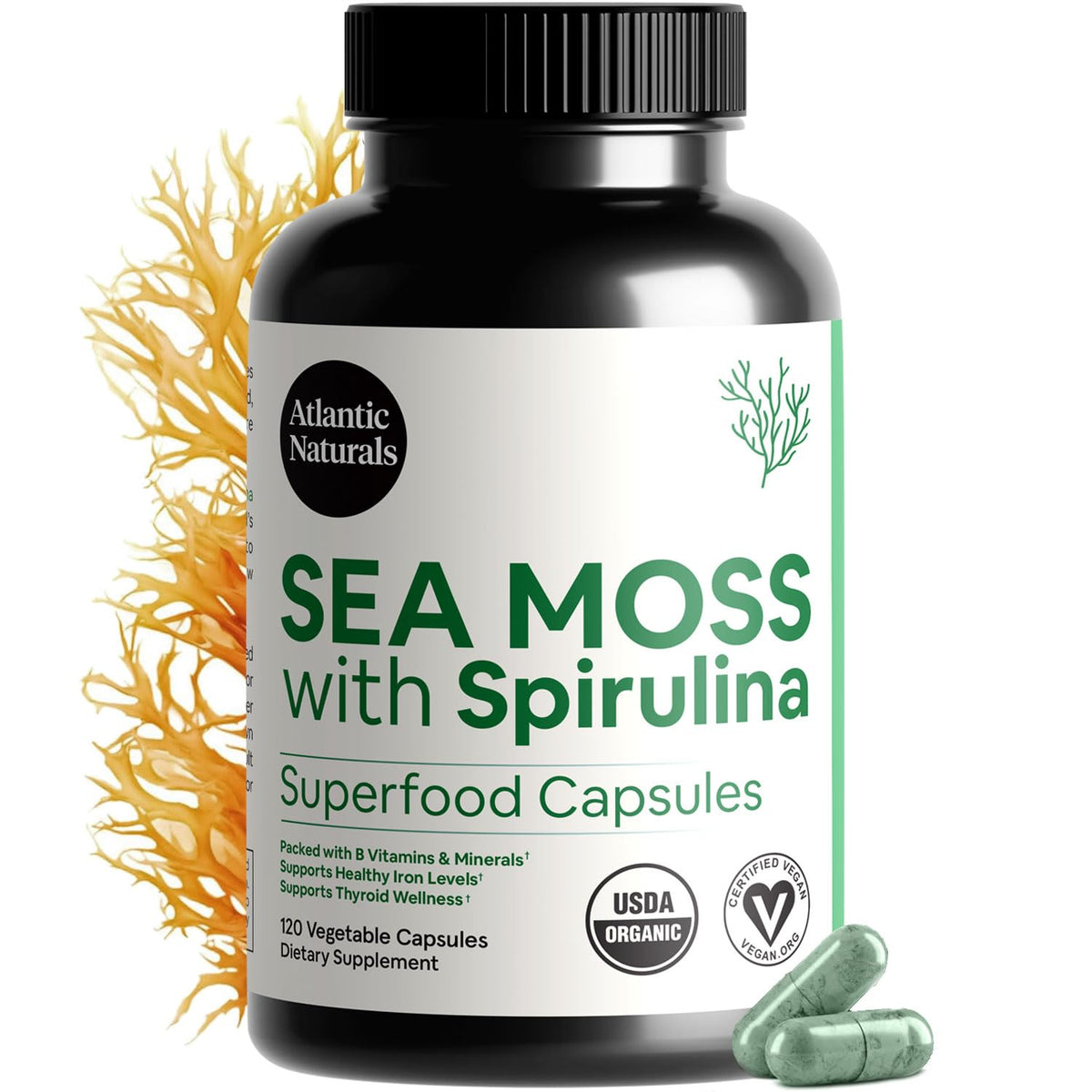 Capsules Atlantic Naturals Sea Moss Spiruline dans une boîte, pratique au quotidien