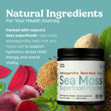 Verre avec Shake contenant la Poudre Sea Moss Atlantic Naturals, préparation rapide.