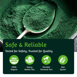 ATNreuro Spiruline organique poudre certifiée USDA, assurance qualité pour boissons.
