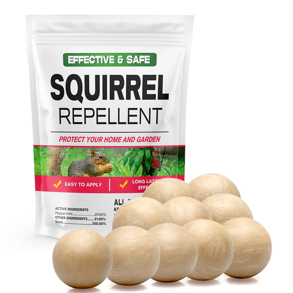 AUDQQM répulsif sciur extérieur-balles: éloigne les écureuils des zones extérieures.