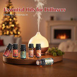 Auelife Huiles hivernales Canneberge Noël: parfum fruité et lumineux pour espace.