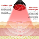Aumtrly gros plan des LED 660nm et 850nm pour thérapie