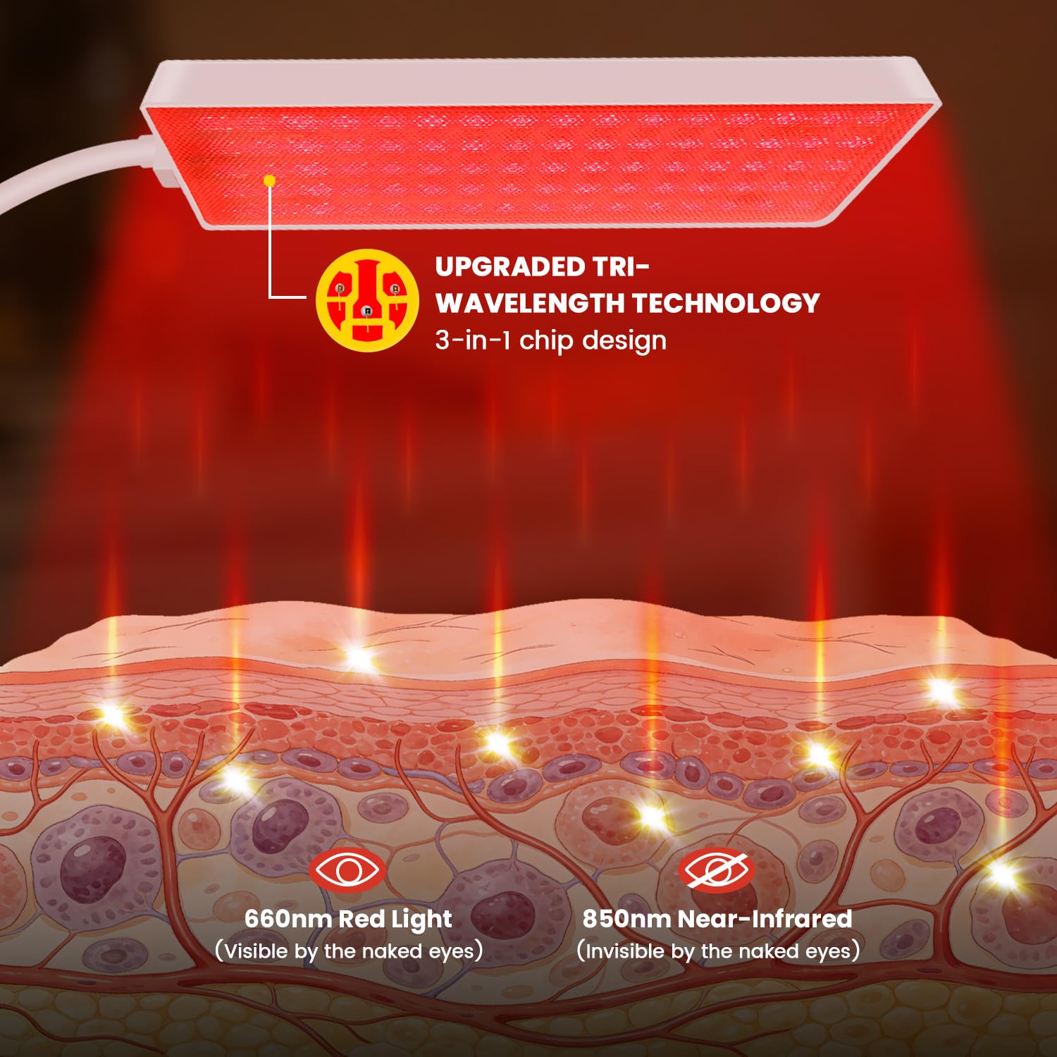 Aumtrly puces 660nm et 850nm – thérapie lumineuse 3 en 1, usages variés.
