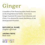 Diffuseur Aura Cacia et gingembre pour une ambiance apaisante.