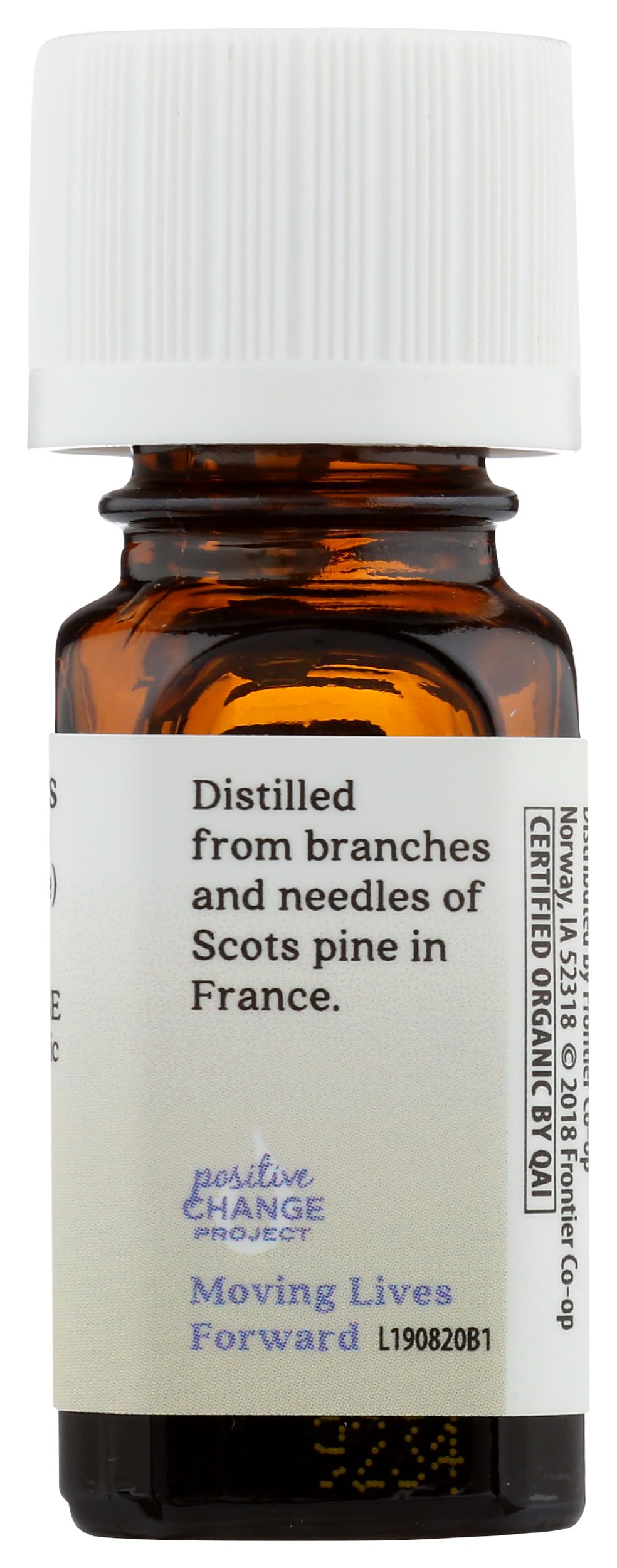 Aura Cacia huile essentielle pin sylvestre, gouttes prêtes à diffuser dans un diffuseur.