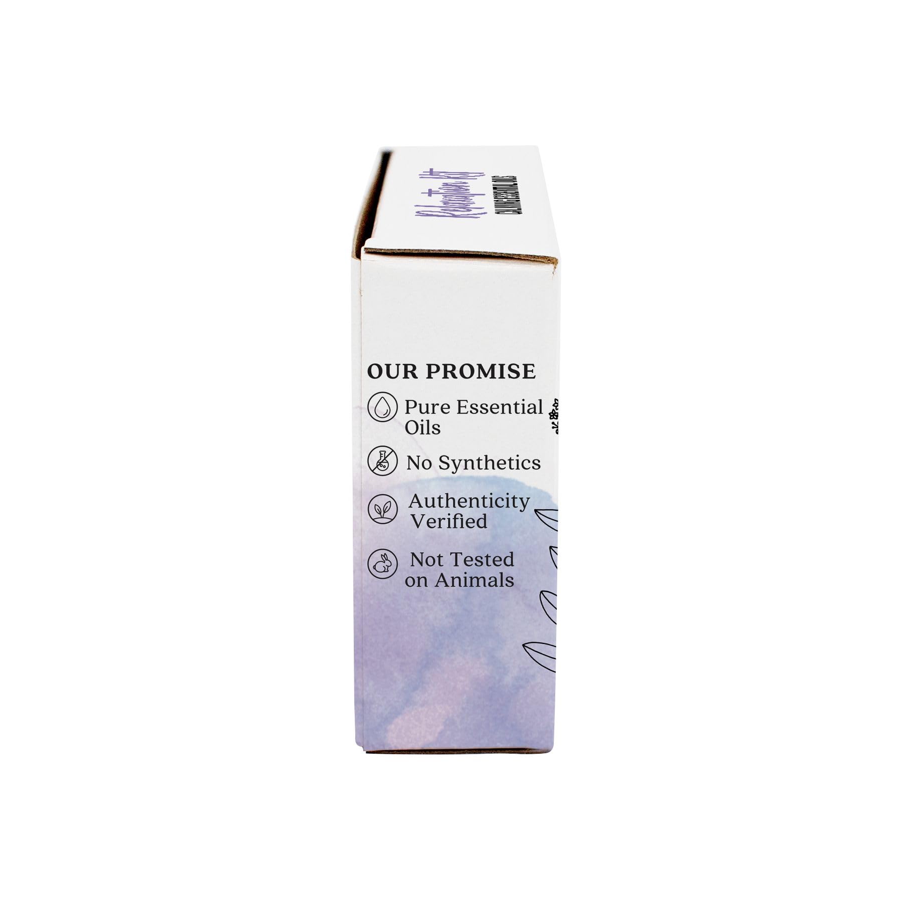 Aura Cacia Relaxation Kit: huile d'orange douce pour réconfort et humeur.