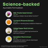 Auric Composition Herbes Ail Gingembre Curcuma: mélange naturel pour le foie.