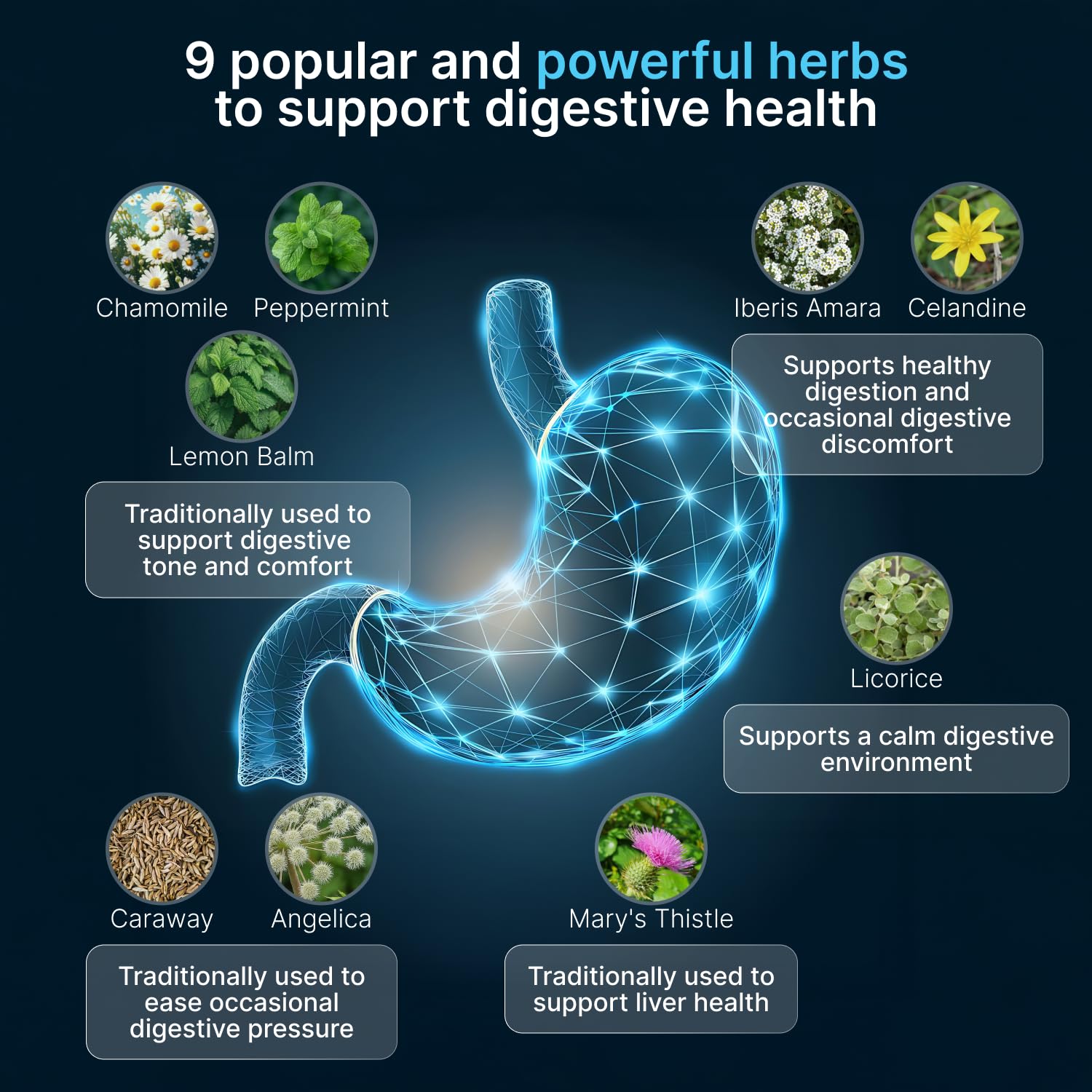 AUTHENTA IBShield, melisse-officinale: détente légère après les repas