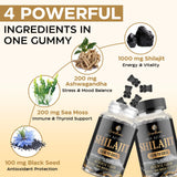 Shilajit Avarinthiumor Sea Moss, richesse minérale naturelle.