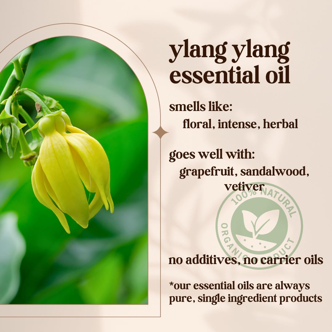 Avivni Ylang Ylang pour diffuseur: parfum floral intense et durable.