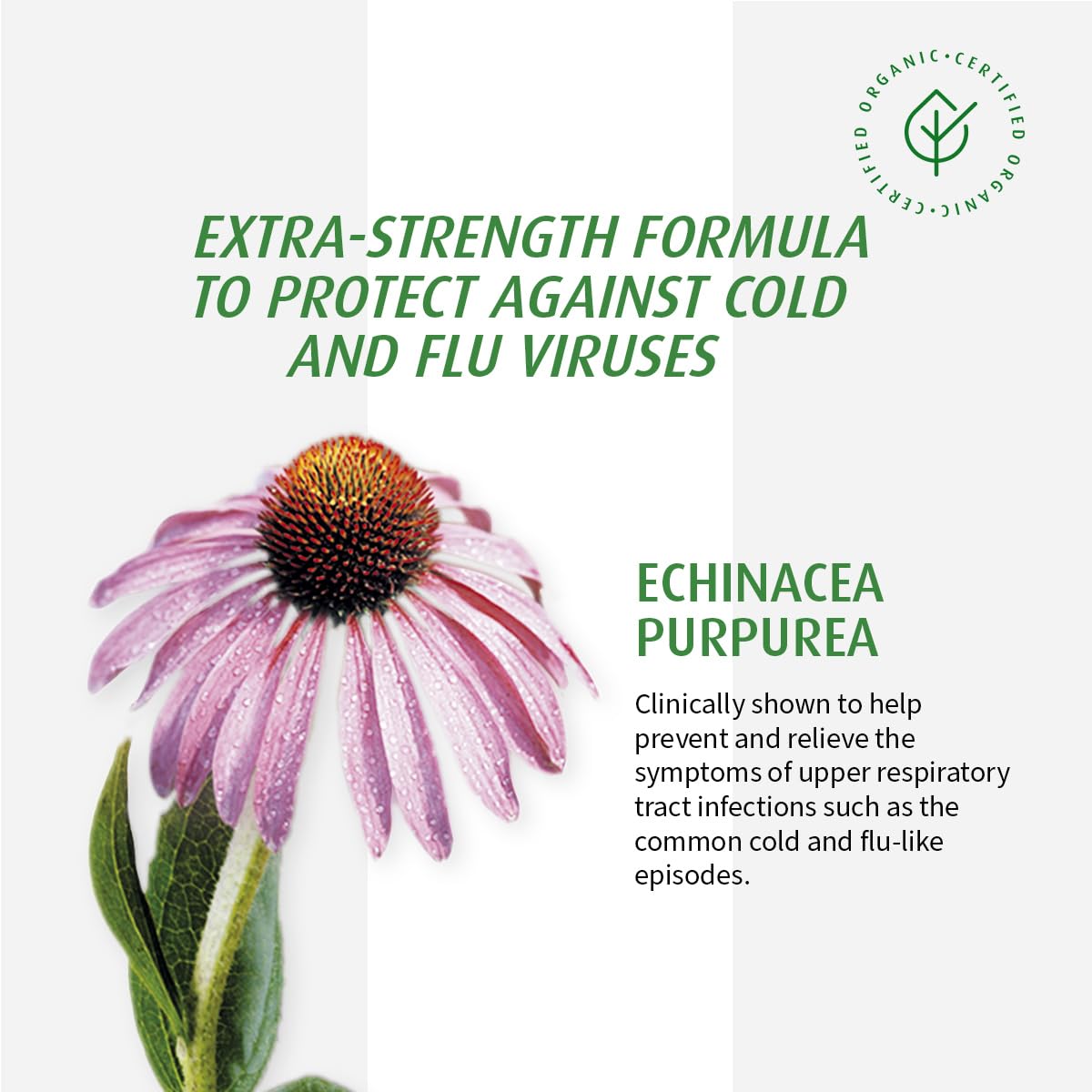 A.Vogel Echinaforce, extrait frais d'échinacée purpurea utilisé dans la préparation.