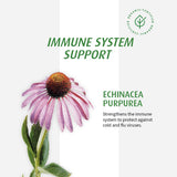 Extrait frais d'échinacea biologique utilisé par Echinaforce Junior.