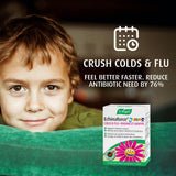 A.Vogel Echinaforce Junior, comprimé 400 mg, soutien immunitaire pour enfants.