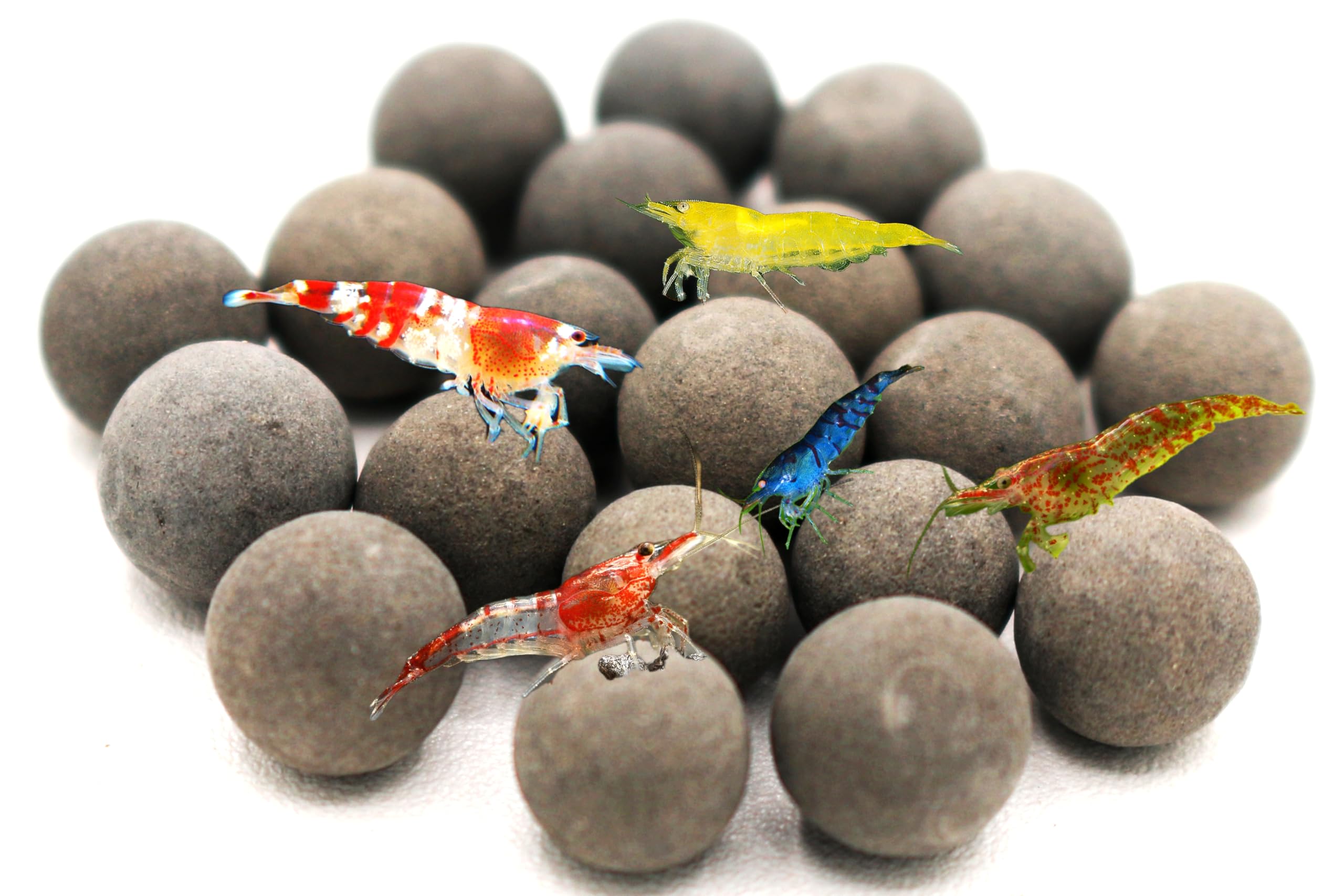 Boules Tourmaline Awesome Aquatic en emballage prêt à améliorer la qualité de l’eau